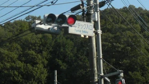 A traffic light / Because it was telling me to stop.