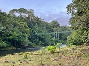 A picture of nature with lots of greenery / I think it's the responsibility of all humanity to protect the natural environment, and I feel reassured when surrounded by nature.