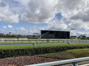 A horse racetrack / My favorite hobby is watching the horse races.