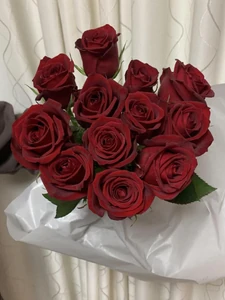 Roses / I was happy to receive them.