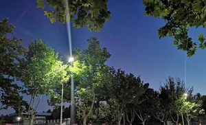 Trees and the sky / Trees mean vitality and hope,  while the evening sky represents tranquility and liberty, both of which are reassuring to me.