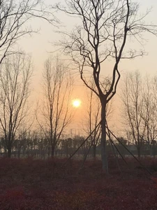 夕阳 / 感觉很安心，生活很美丽