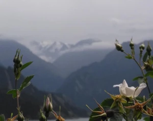 风景 / 喜欢旅游时看到的