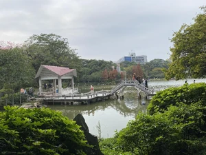 公园 / 因为看起来感到安心