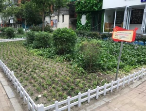 Greenery in a residential area / I often walk in this area after eating, so I find it very relaxing.