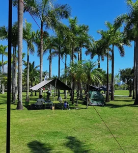 Tall trees, grass, and a tent / Basking in the sunlight, I feel harmony with nature. Camping brings joy to my mind and body, and I feel the wonder of life.