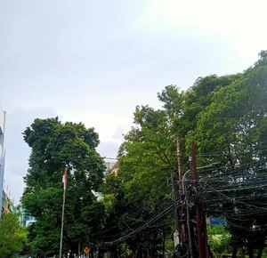 The view in front of my office / During my lunch break, I can see greenery despite being in the big city, which is very comforting.