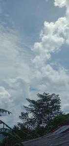 A view of the sky and greenery / The clear sky and green scenery make me feel calm and comfortable. The cool atmosphere is very relaxing. There's no noise and the clean air makes me feel comfortable.