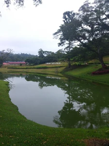 A lake nearby my hometown / Feel relax