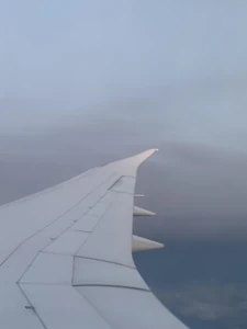 picture of a plane wing from inside of the plane / Knowing that I'm on a plane going somewhere for an adventure make me excited and nervous at the same time. The culture, food and new experiences in a foreign land gets me going in life.