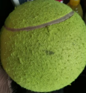 A tennis ball. / I think tennis is a strategically beautiful game and it is similar to the life we have, how we should strategically live life to its fullest.