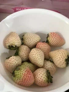 Strawberries / They are beautiful and delicious