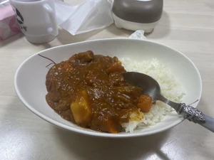 2024年1月4日夕食18時ごろ / 家で家族とテレビを見ながら私が作ったカレーを食べた。