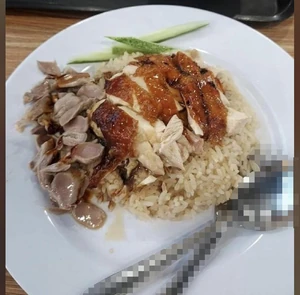 I had roasted chicken rice for lunch today by myself during my lunch break.